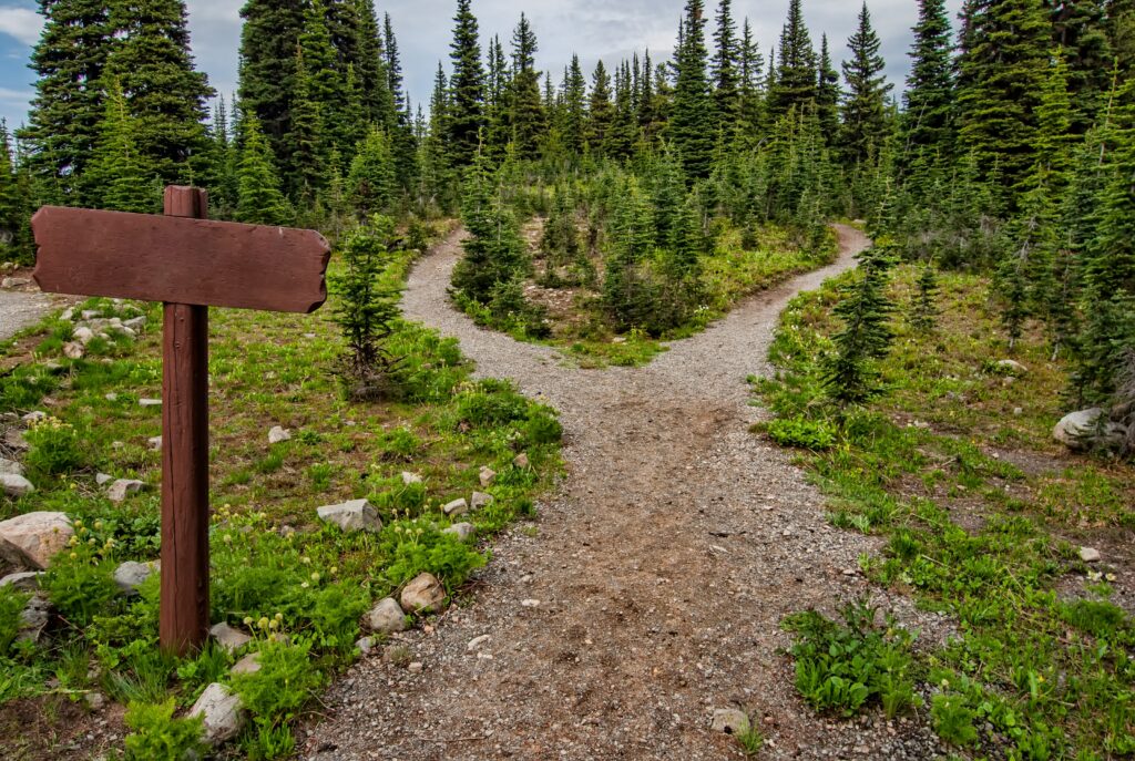 A trail sign identifies a split in the path.